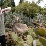 Prostavive Colibrim: A Natural Path to Better Prostate Health