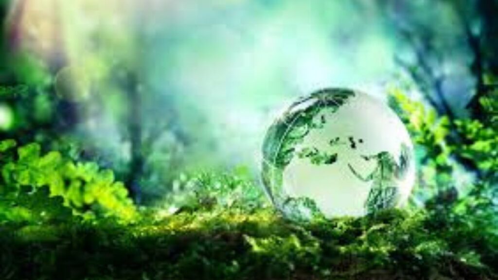 Sustainability Tech Startups and Corporations: Cross-Sector Collaborations in Singapore’s Innovation Ecosystem