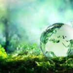 Sustainability Tech Startups and Corporations: Cross-Sector Collaborations in Singapore’s Innovation Ecosystem